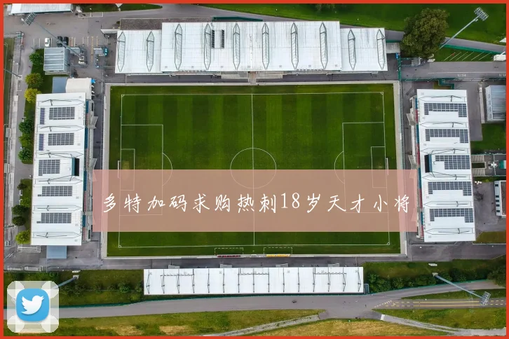 多特加码求购热刺18岁天才小将