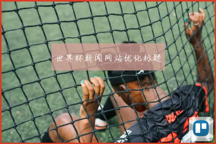 世界杯新闻网站优化标题
